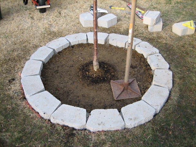 Sys Admin Extraordinaire | » Blog Archive » Plant a Tree and Build a  Retaining Wall Tree Ring In One Day